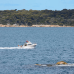 electric power boats